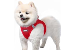 rabbitgoo Harnais Chien Petite Taille Rouge S, Harnais Chiot Respirante en Maille Souple, Arnet pour Chien Réfléchissant Facile à Mettre, Gilet Réglable pour Petits et Moyens Chiens pour Marche