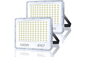TASINUO Faretto LED da Esterno 100W 2 Pezzi, Faro LED Esterno Impermeabile IP67, 10000LM 7000K Bianca Fredda Lampade, 108 LEDs Luci per Giardino, Terrazza, Garage, sportivo