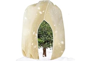 Gutepa Winterschutz für Pflanzen, 250x360cm Frostschutz Pflanzen Abdeckung, Pflanzenschutz Winter Außen für Kübelpflanzen, Olivenbaum, Palmen mit Reißverschluss, Wiederverwendbar Pflanzenschutz