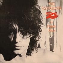 Fisherman's Blues: Amazon.co.uk: CDs & Vinyl