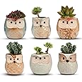 LHAOCHES 6 Pack Pot Ceramic Flowing Glaze Base Serial Set Succulent Plant Pot Cactus Plant Pot Flower Pot Container Planter with Drainage Hole Home Office Desk Garden Gift Idea 2.5 Inch