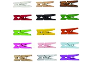 LWR CRAFTS Mini klädnypor av trä 15 färger 100 per förpackning 1 tum 2,5 cm (Alla)