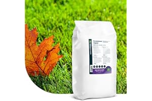 MRS SEEDS & MIXTURES Engrais d'automne pour gazon : 20 kg : 500 m² - Enrichi en magnésium pour un gazon vert foncé - Son effet reste visible jusqu’au printemps
