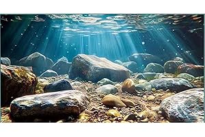 Didooou Immagine di sfondo 3D per acquario, colla in PVC per acquario, adesivi decorativi per acquari, adesivi per acquario boutique (ocean-1, 40 x 80 cm)
