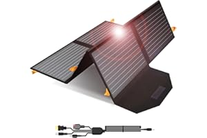 FLEXSOLAR Solar Panel 60 W, Solar Chargers Portable QC3.0 USB-A PD3.0 USB-C Output Foldable IP65 Waterproof Power Emergency Camping for Small Power Plants Generator Laptops Tablets
