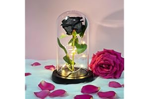 QUELIEN Schwarze Rosen Geschenke für sie, schwarze Rosen künstliche Blumen, Geburtstagsgeschenke für Frauen, gefälschte schwarze Rosen leuchten in einer Glaskuppel Geschenke für Weihnachten, Valentinsblumen