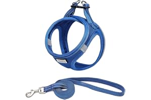 Suredoo Hundegeschirr mit Leine Anti Zug Geschirr Reflektierend Brustgeschirr für Kleine Hunde, Haustiere, Welpen, Katzen (Lapis Blau, XS)