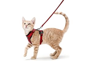rabbitgoo Pettorina Gatto Antifuga con Guinzaglio, Guinzaglio per Gatti Regolabile, Pettorina Cane Taglia Piccola Riflettente, Imbracatura Gatto Adulto in Maglia Traspirante per Passeggiate, Rosso, XS