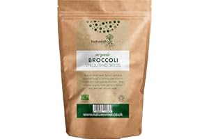 Natures Root Organic Broccoli Sprouting Seeds 1kg - Superfood | Non GMO | Microgreen Sprouts