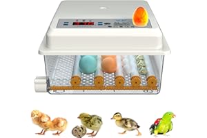 Auveach 16 Uova Incubatrice per Uova Automatica Controllo Automatico della Temperatura Giratura Automatica delle Uova Design Elettrico Doppio per Polli Anatre (Bianco)