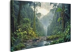 islandburner Picture on Canvas Rainforest Landscape Trees Fog Beautiful Forest Vegetation River Jungle Travel Egg Pictures Wall Pictures Poster JDWW-1P