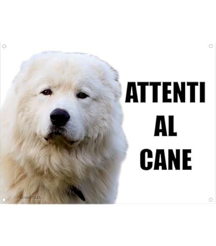CANE CORSO attenti al cane mod 3 TARGA cartello IN METALLO (15X20