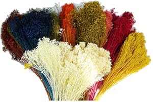 ZELDA BOMBONIERE Broom Bloom Fiori Secchi Da 100 Gr Composizioni Addobbi Floreali (Rosso)