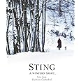 Sting - A Winter's Night ... Live from Durham Cathedral [2 DVDs]