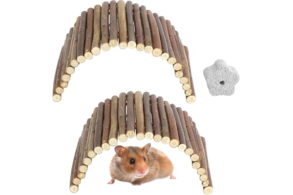 2 pilbroar, 23 × 12 cm hamsterbro leksak, gnagarbro | Naturlig dvärghamster tillbehör, trä marsvin leksaker, kanin råtttillbe