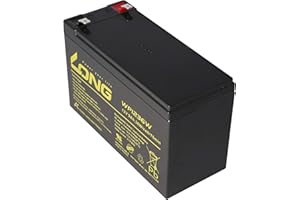 ACCUCELL NEU Kung long wp1236 W 12 V 36 W Batterie au plomb avec 9 Ah, 6,3 mm Faston Tab 250