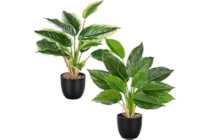 Aevcvok Set di 2 Piante Artificiali Decorative per Interni, 37CM Piante Finte Interno Piante Plastica per Decorazione Interna Esterna di Casa, Ufficio, Giardino, Soggiorno, Tavolo e Scrivania,B