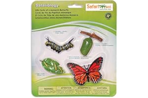 Safari Ltd. Cycle de vie d'une Papillon Monarque S622616