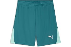 PUMA herr Stickade shorts Teamliga26 Shorts