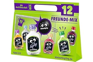 ‎KLEINER FEIGLING Kleiner Feigling Mix-Paket | 12 FreundeMix | Fussball-EM | mit Anti-Stress-Ball | 12 x 20 ml | Mit 6 Minis verschiedenen Sorten | Shot zum Feiern