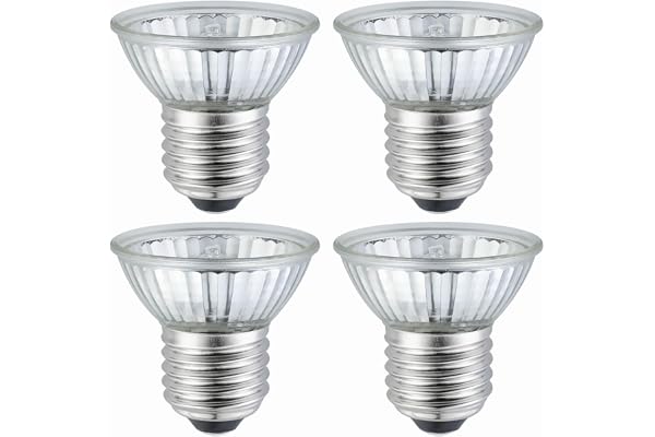 YEGRUEB Ampoule UVB UVA 25W pour Reptiles et Amphibiens - Lampe à Chaleur pour Tortue, Dragon Barbu, Cage de Lézard - 4 Paquets