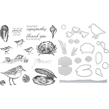 MAYJOYDIY Matrices de Découpe en Métal Perroquet Toucan Tropical Matrices de Découpe pour Branches de Fleurs Gaufrage de Découpe pour Cartes Bricolage