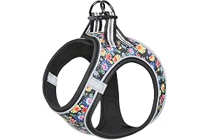 R Flower Black