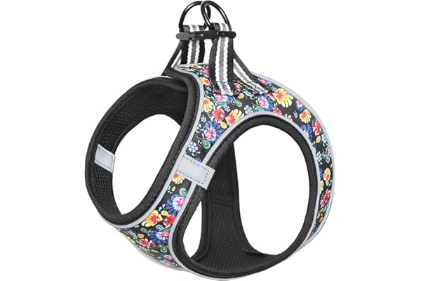 HEELE Arnés para Perro pequeño para Cachorros, arnés de Malla Suave, Reflectante, Ligero, Visible en la Oscuridad, arnés con patrón Floral, cómodo para Caminar y Entrenar, Floral Negro, L