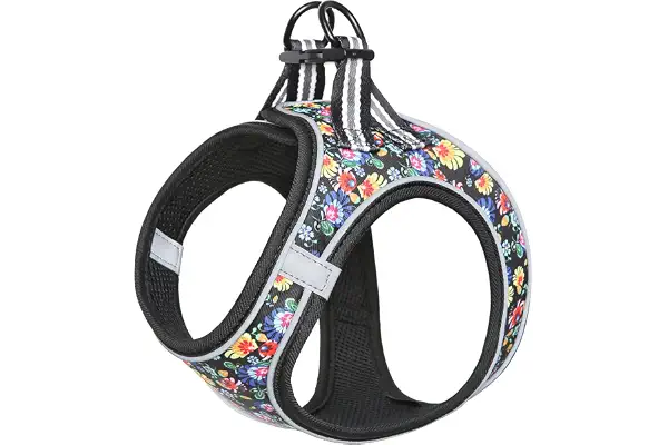 HEELE Arnés para Perro pequeño para Cachorros, arnés de Malla Suave, Reflectante, Ligero, Visible en la Oscuridad, arnés con patrón Floral, cómodo para Caminar y Entrenar, Floral Negro, L