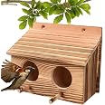 Wooden Bird Cage | Solid Wood Bird House with Double Nesting Holes ...
