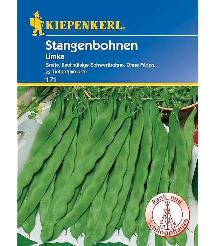 Bobby-Seeds Lady Di BIO-Bohnensamen – Portion Für Ca. 40 Pflanzen – Frühe, Fadenlose Prunkbohne