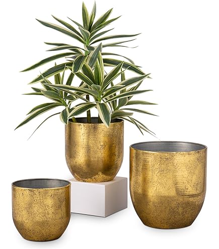Capi Europe - Vaas Bol Rib - 10x9 - Goud