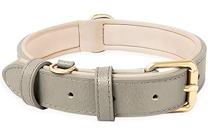 HEELE Collare Cane in Pelle, Imbottitura Morbida Resistente, Nuovo Colore dell'Imbottitura, Collare per Cani di Taglia Piccola, Media e Grande, Nuovo Grigio, M