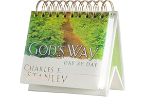 DAYSPRING DAYBRIGHTENER: God's Way Day by Day