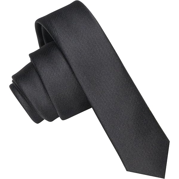 Cravate Homme Chic Cravate Noire Fine Yolev - Pré-nouée à Fermeture éclair - 2.35 Pouces - Pour Mariage Et Cérémonies Cravate Réglable Cérémonie
