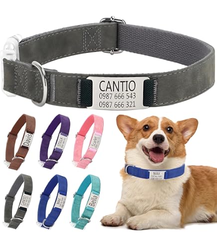 Didog Personalisiertes Hundehalsband Mit Gravur, Größe M (25-42 Cm) - Schnellverschluss, Modisches Moosgrün-Muster, Aus Baumwolle/Nylon, Waschbar