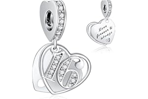 NINGAN 16,18,21,30,40,50,60 Abalorios Charms Colgantes de Encanto familia eterna Cuentas Plata de Ley 925 con Compatible con Pulsera Charms para Mujer Niña