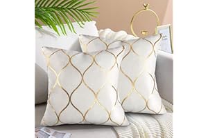 Hanrunsi Velvet Cushion Covers 18x18 Decorative Velvet Sofa Cushions 2 Pack Soft Pillowcases Golden Painted Decorative Throw Pillow Cases White for Sofa Couch Living Room