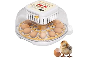 Domigard Inkubator für Eier - Brutautomat Vollautomatisch für 12 Eier, mit Eier Wenden, Temperatur & Luftfeuchtigkeitskontrolle, transparenter 360° Deckel, Brutautomat für Hühner, Enten & andere Vögel