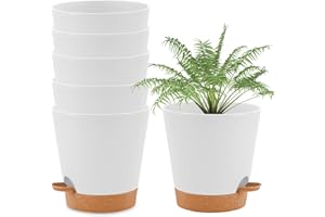 wintfarm Kunststoff Blumentopf mit Bewässerungssystem, 6er Set Selbstbewässernder Übertopf mit Untersetzer, Runder Pflanztopf für Zimmer- und Balkongartenpflanzen Sukkulenten Kaktus (14cm Weiß)