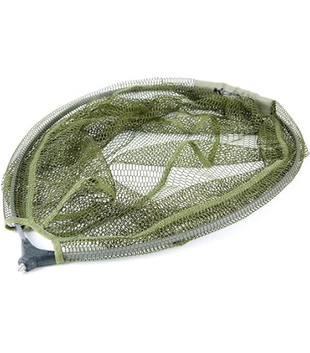 best saltwater casting reels Choosing Saltwater Fishing Gear: Spinning or Baitcasting Reels