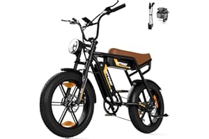 HITWAY Bicicletta Elettrica 20”4.0 Fat Tire Bici Elettrica E-bike,Li-Batteria 48V15Ah/2 * 13Ah,Max velocità 25km/h,Fino a 45-150km,Pedalata Assistita,Donna Uomo