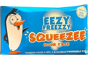 SYNC'T Ice Lollies Sugar Free Freeze Pops - Bulk Box - 20 x 10 x 50ml - Eezy Freezzy - Gluten Free, Suitable For Vegans/Vegetarians - 200 Total Ice Pops