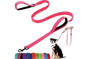 ATETEO Dog Lead - With Two Padded Handles, Two Dog Leads Modes,Double-Sided Reflective Nylon Dog Leash for Training&Walking Perfect for Medium Dogs