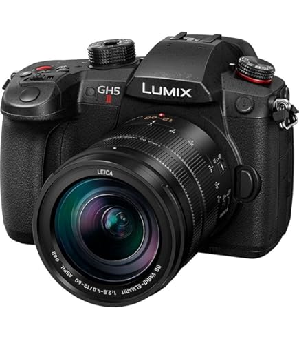 パナソニック LUMIX DC-GH5 パナソニック LUMIX DC-GH5 ボディ 価格比較 - 価格.com