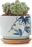 T4U 7.5CM Ceramic japanese Style Serial No.4 Succulent Plant Pot/Cactus Plant Pot Flower Pot/Container/Planter White