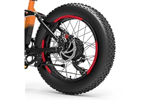 DualColorStampe Adesivi Cerchi Bici FAT BIKE 20'' Pollici Ruota Bici accessori Fat bike MTB Stickers Cerchi - B0089 (Rosso Fluorescente)