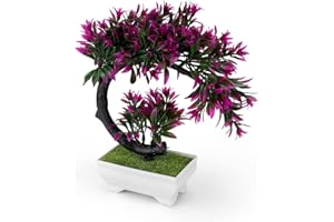 ‎DEANKEJI Bonsai Artificial Plastic, DEANKEJI Bonsai Tree Real Small Plastic Plants, Artificial Tree Natural Fatigue Relief, Plant Decoration for Balcony, Garden, Office Ornaments