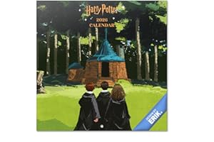 Grupo Erik Wall Calendar 2026 - Harry Potter Calendar 2026 | Square 30 x 30 cm - 12 x 12 inches Wall Planner, Family Planner Month To View | Gifts Harry Potter Merchandise, Gifts For Friends