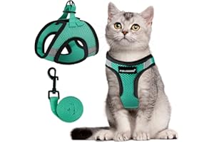 FAYOGOO Katzengeschirr Katzenleine Geschirr für Katzen, Katzengeschirr mit Leine AusbruchsicherVerstellbares Katzen Geschirr Kontrollierende Atmungsaktive Katzenleine mit Reflektierenden Streifen